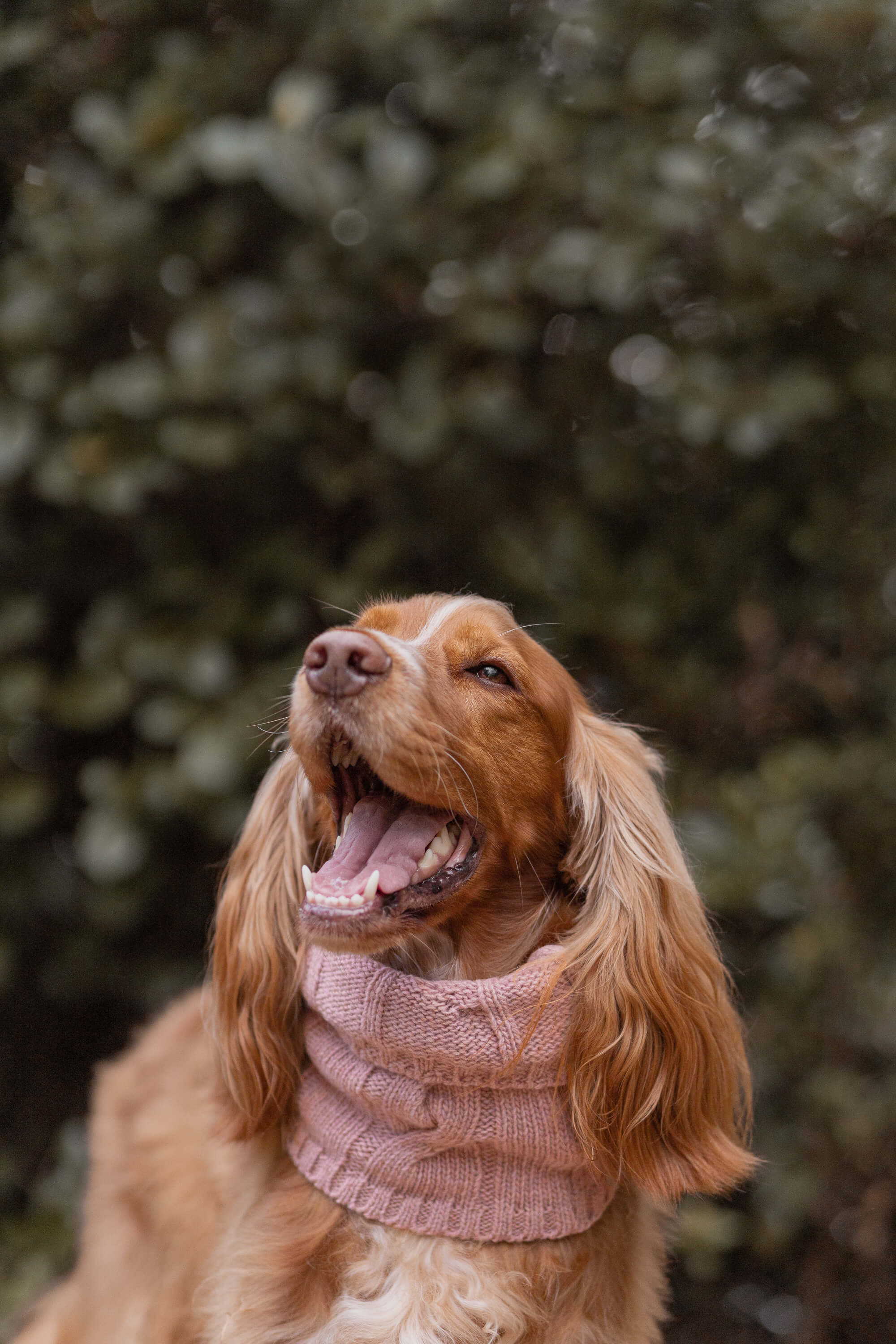 Totós de Cabelo – Pajé Snoods