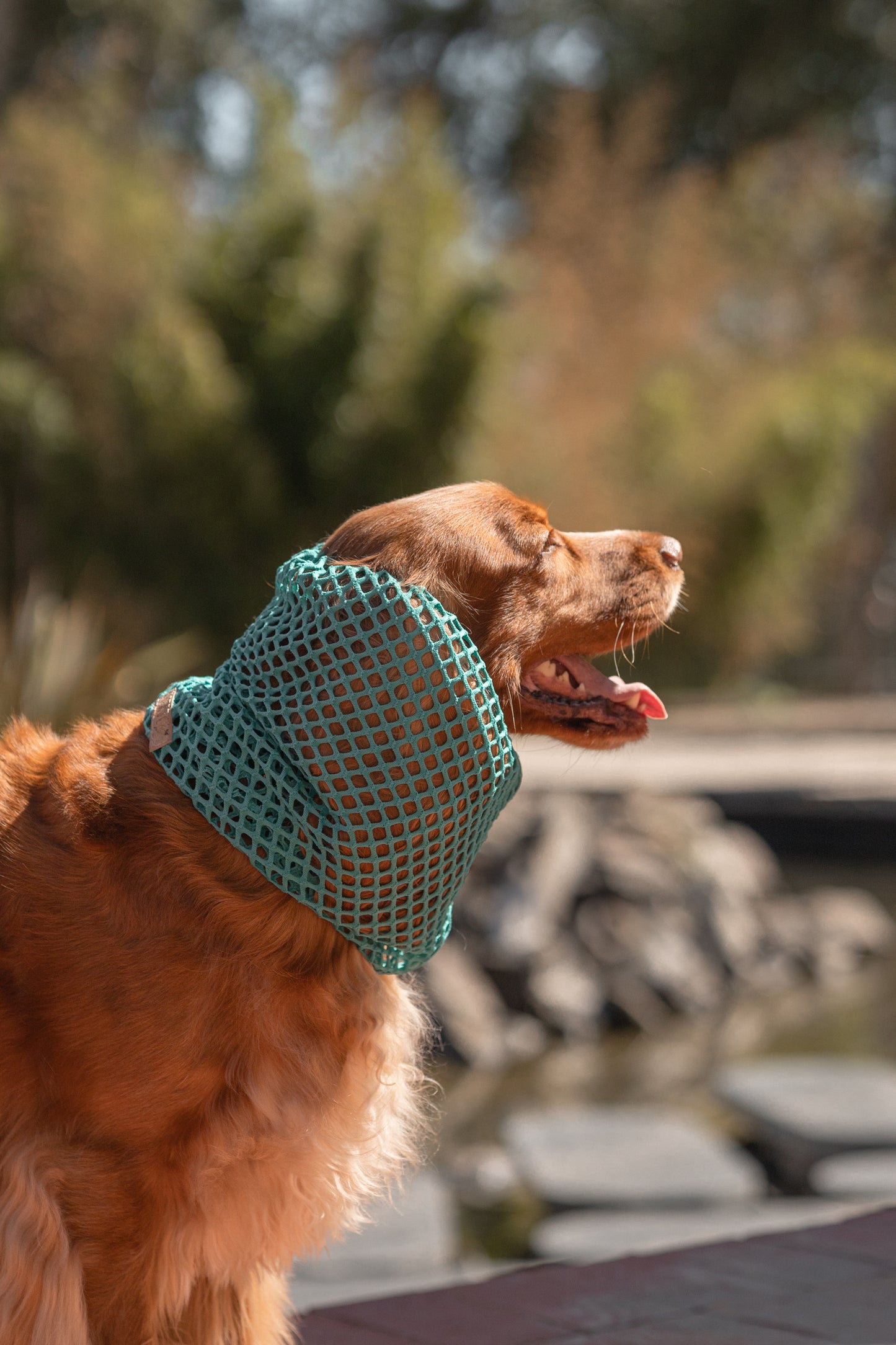 Mesh Snoods