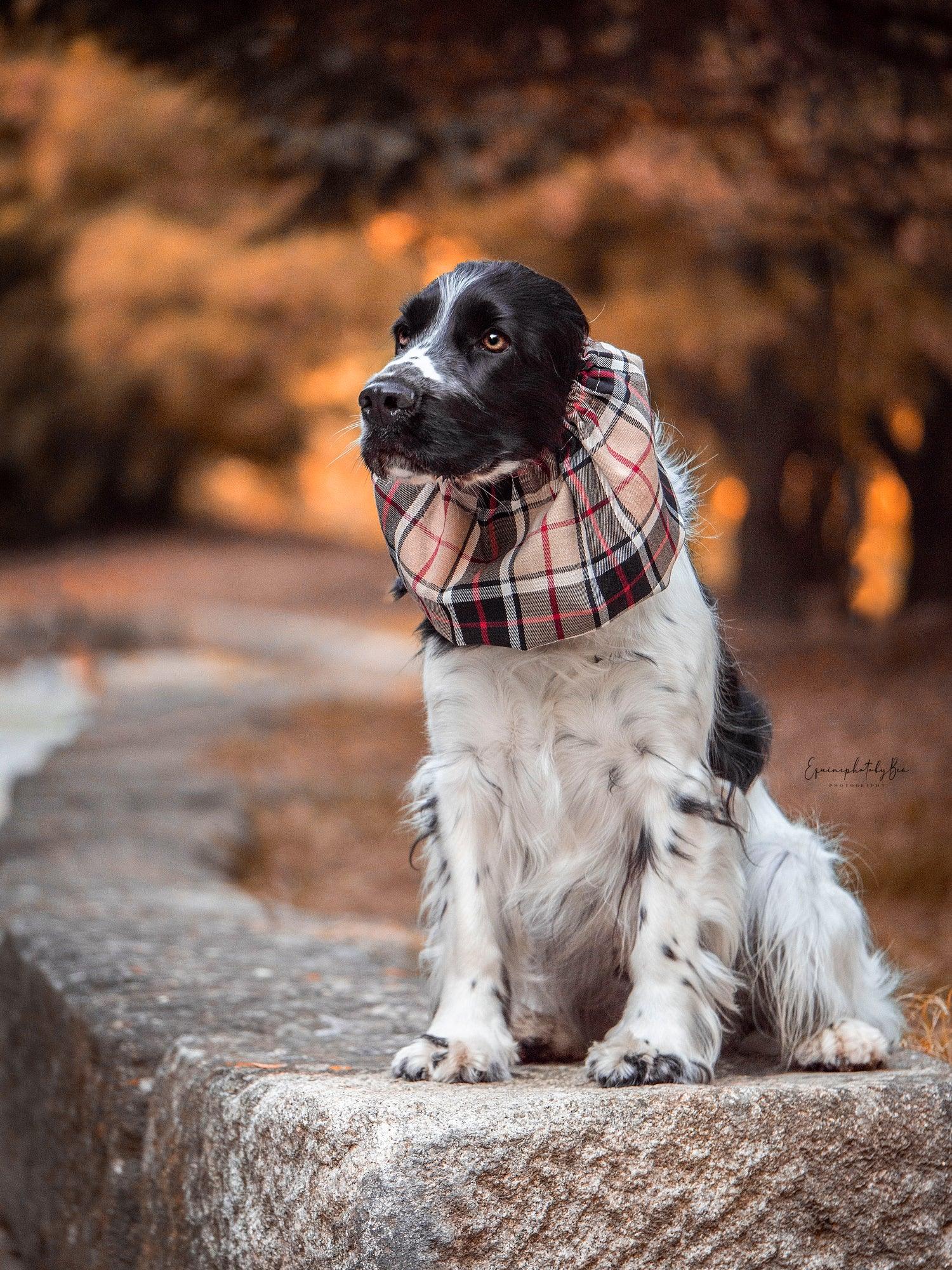 Totós de Cabelo – Pajé Snoods