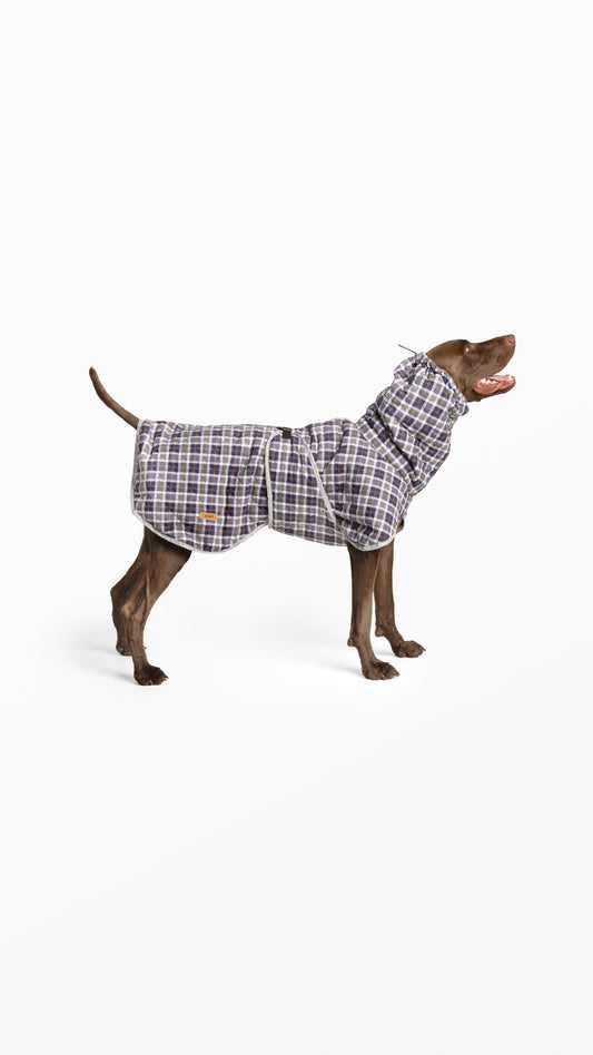 Casacos e Capas para Cães: Qual Escolher?