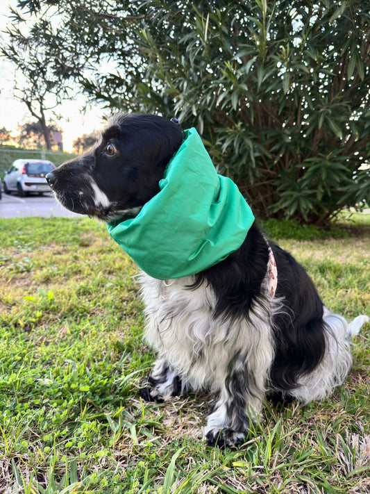 Snoods no Inverno: Porque são tão úteis para Cães