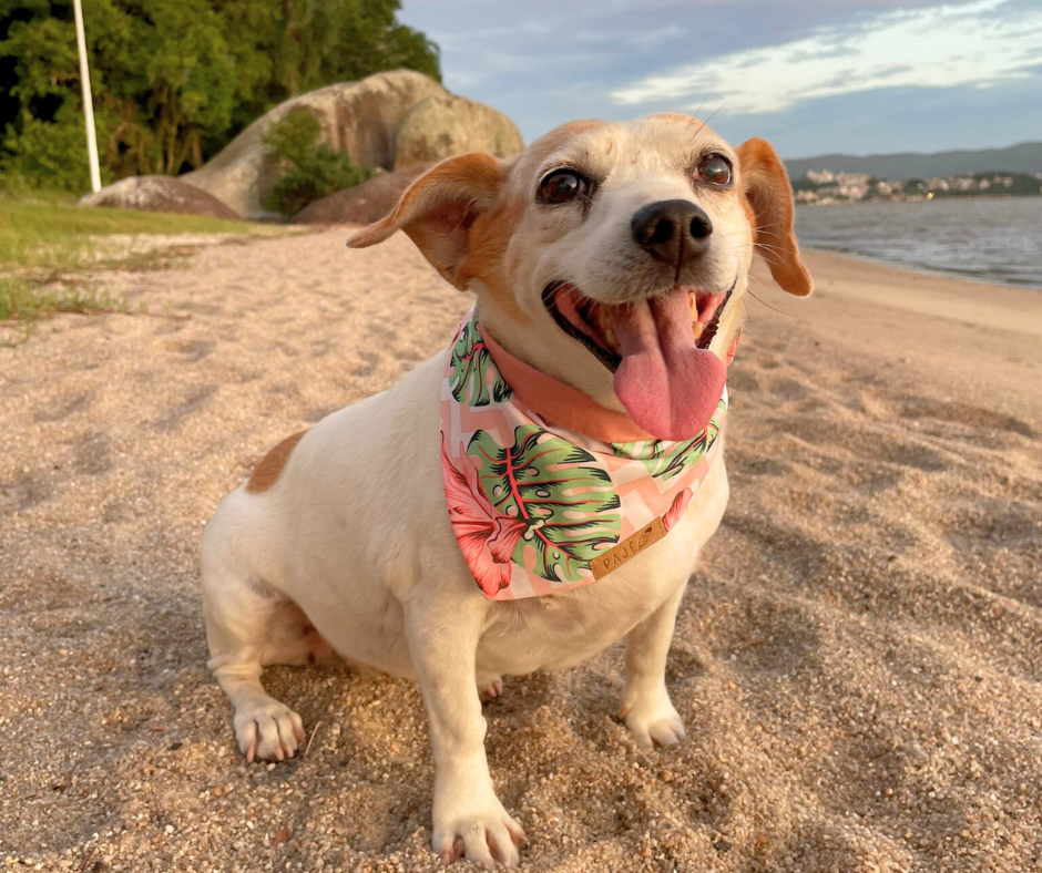 Reversible Bandanas