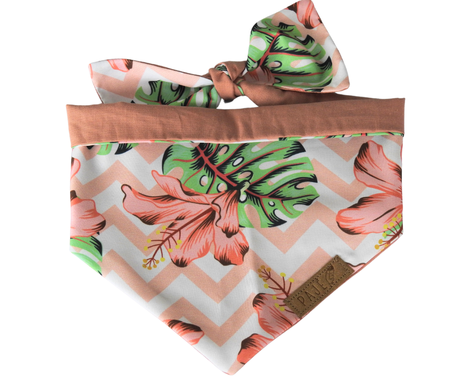 Reversible Bandanas