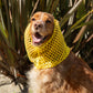 Snoods Rede