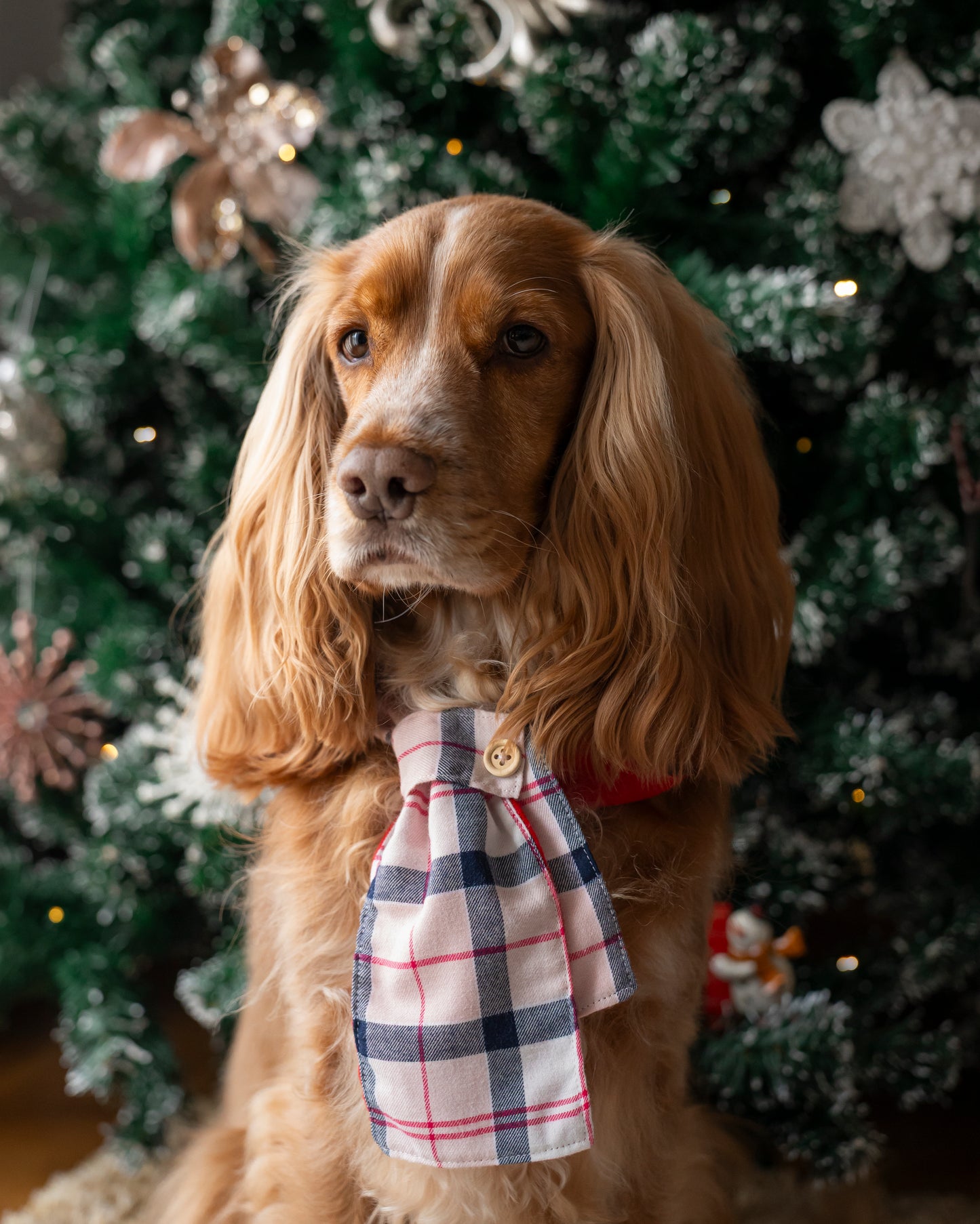 Golas Cachecol Natal