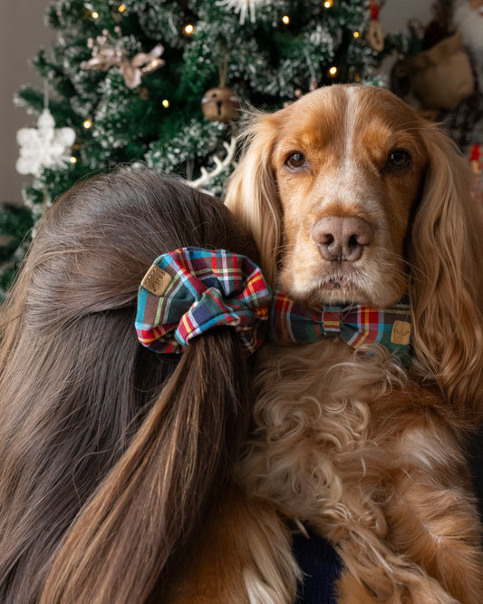 Elásticos de Cabelo Natal