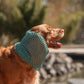 Mesh Snoods