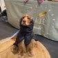 Jackets with Snood