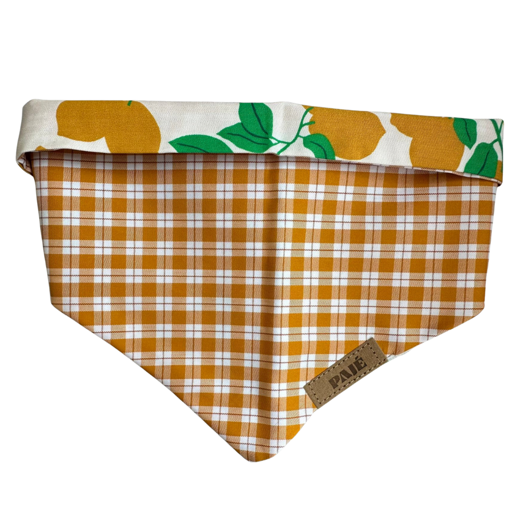 Breeze Collection Bandanas