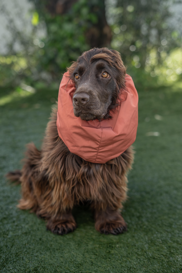 Waterproof Snoods