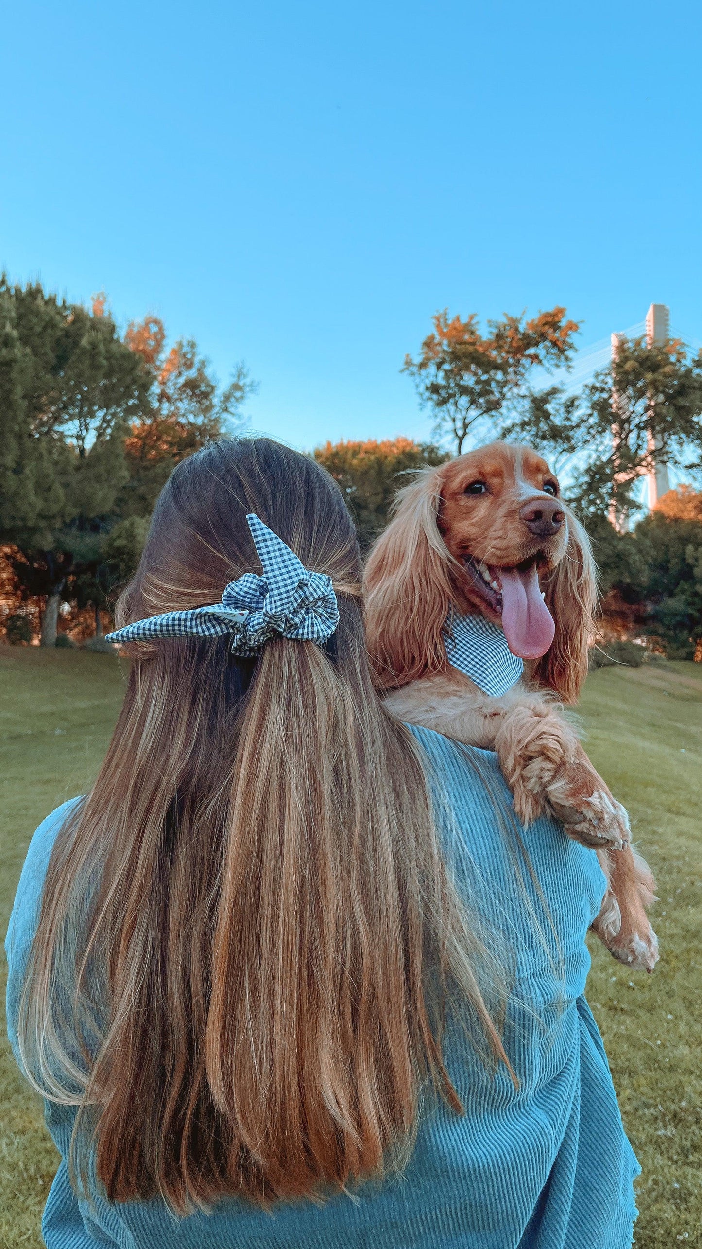 TOTÓS DE CABELO - Pajé Snoods